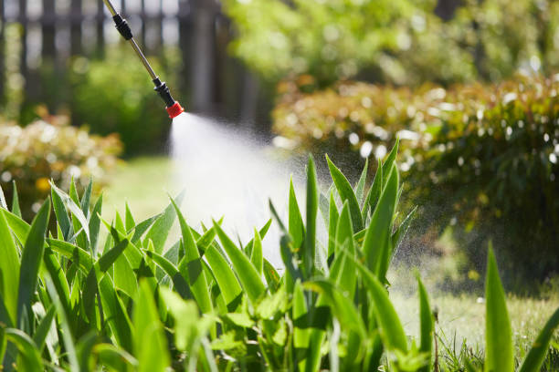 24/7 Emergency Rodent Control experts in Webb City, MO