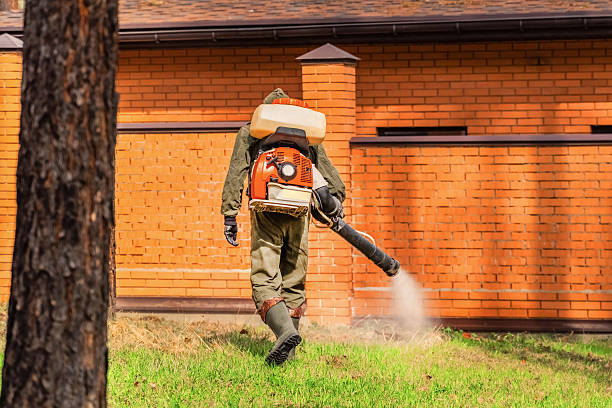 Trusted Rodent Control service in Webb City, MO - Nex Pest Control